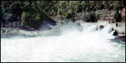 West Virginia Whitewater Rafting